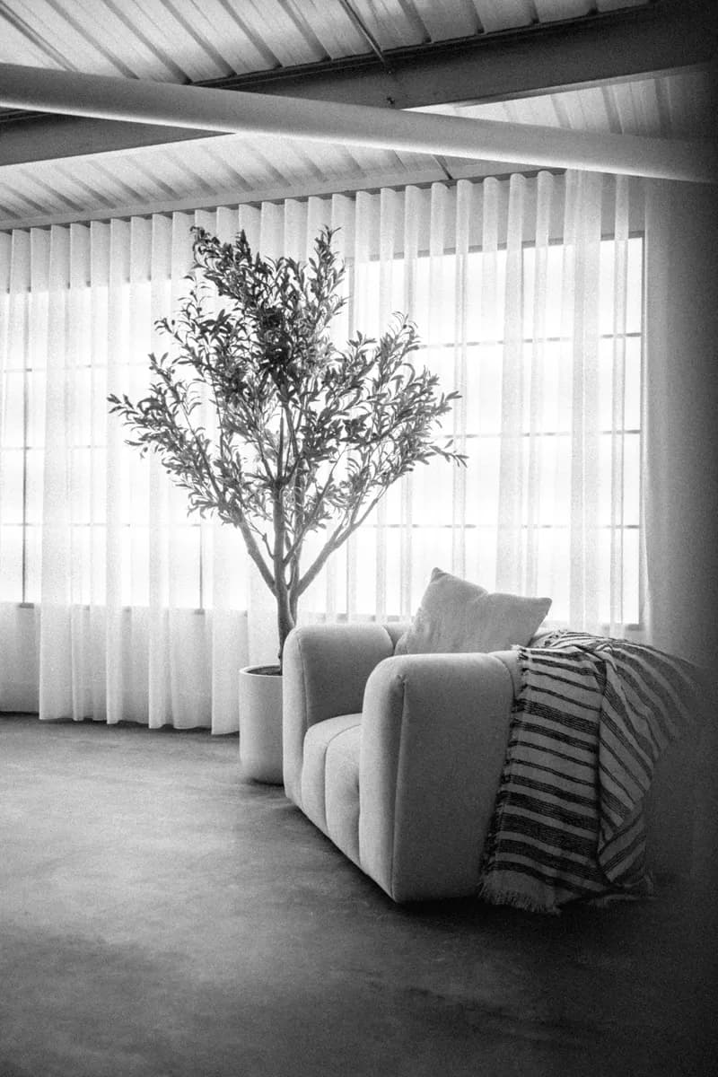 Boucle armchair and olive tree by the windows in The Loft